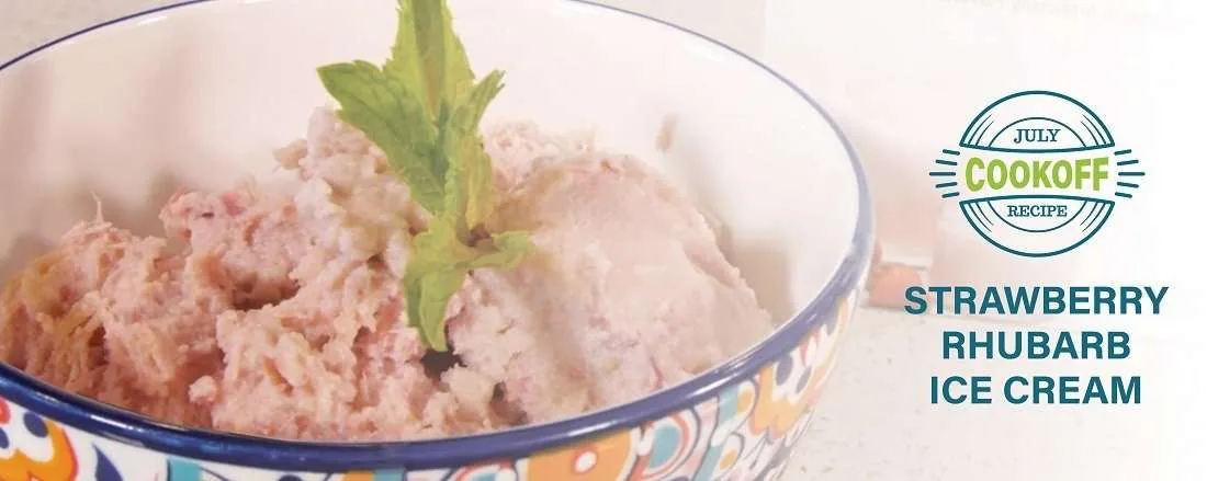 Strawberry Rhubarb Ice Cream