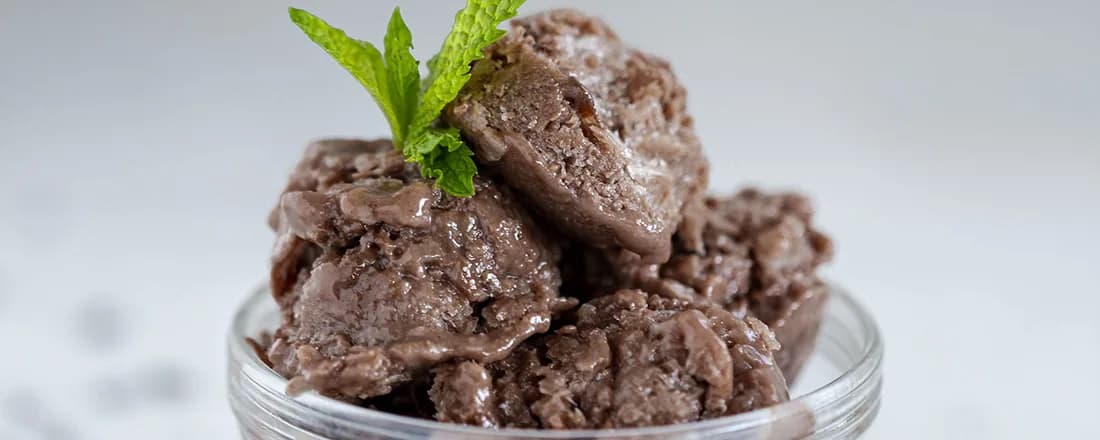 Mint Chocolate Chip Ice Cream